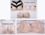 22066-DOUBLE PUSH UP - 画像 (4)